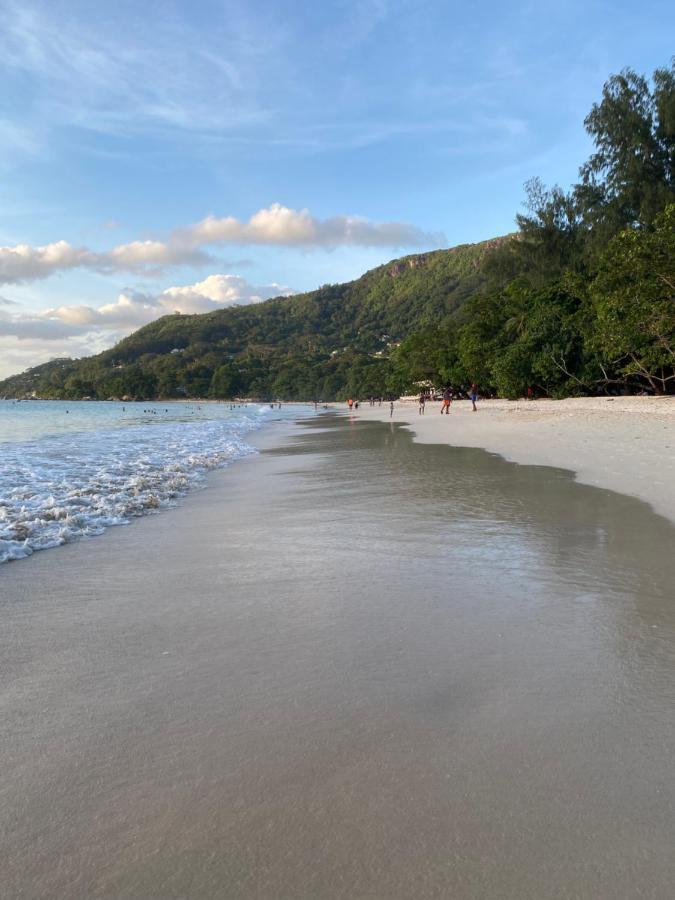 Flower Garden Self-Catering Apartments Beau Vallon  Esterno foto