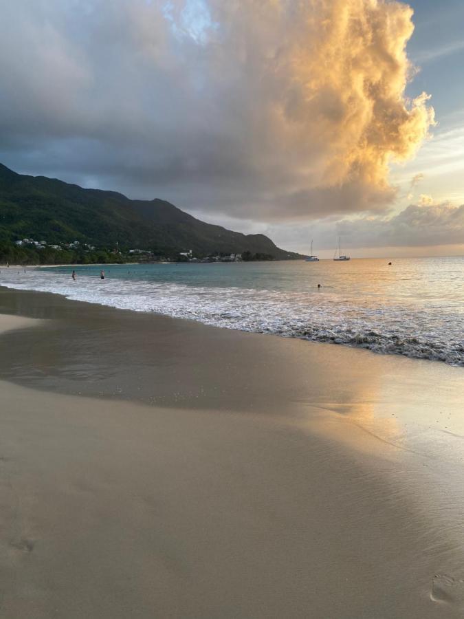 Flower Garden Self-Catering Apartments Beau Vallon  Esterno foto