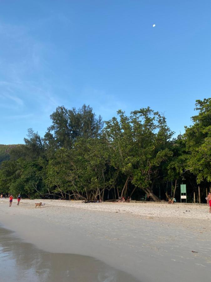 Flower Garden Self-Catering Apartments Beau Vallon  Esterno foto