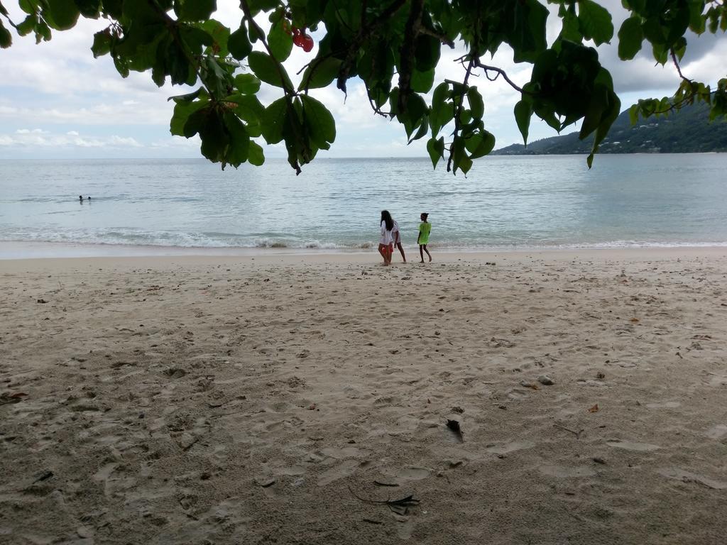 Flower Garden Self-Catering Apartments Beau Vallon  Esterno foto