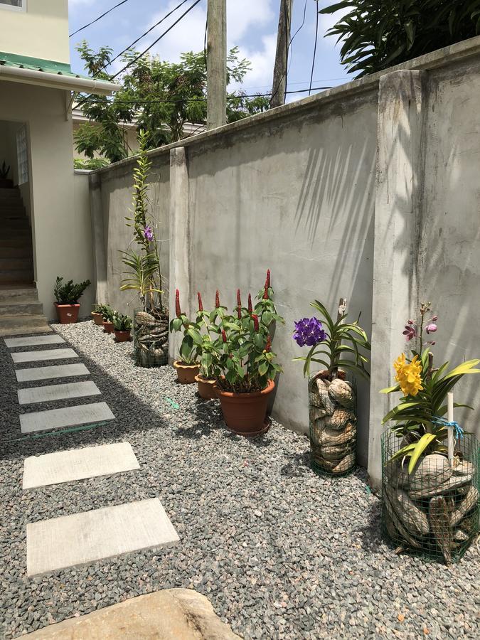 Flower Garden Self-Catering Apartments Beau Vallon  Esterno foto