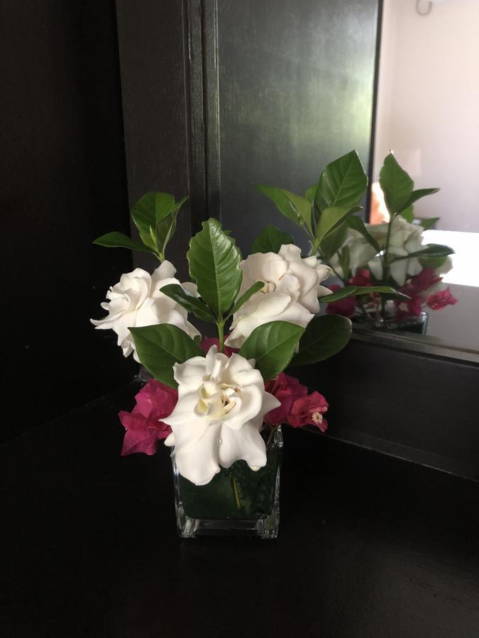 Flower Garden Self-Catering Apartments Beau Vallon  Esterno foto