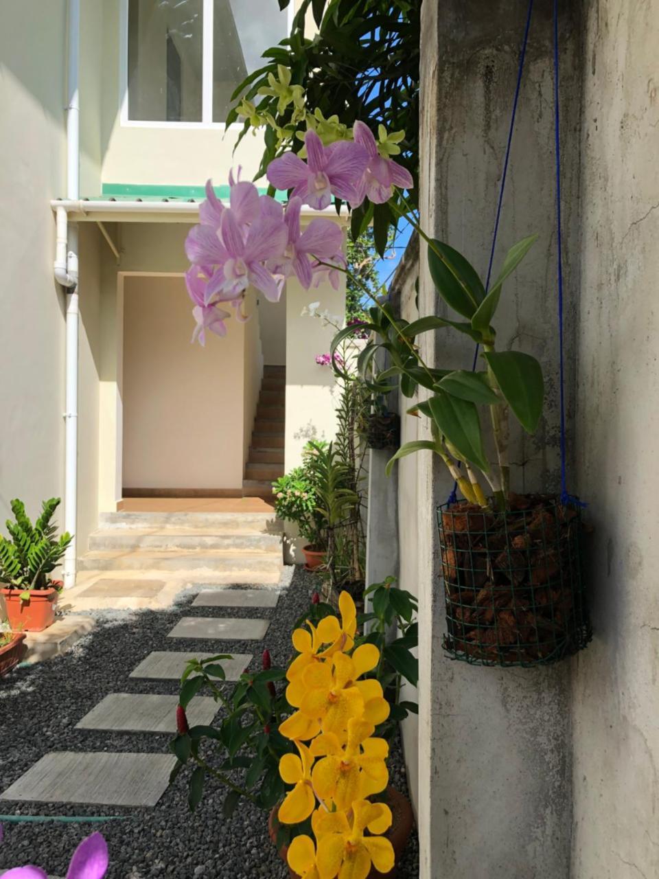 Flower Garden Self-Catering Apartments Beau Vallon  Esterno foto