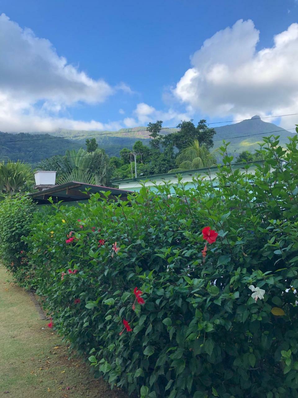 Flower Garden Self-Catering Apartments Beau Vallon  Esterno foto